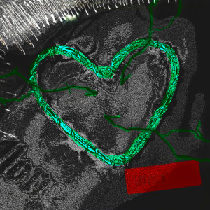 ดาวน์โหลดและฟังเพลง Pa Ke พร้อมเนื้อเพลงจาก Bip-G