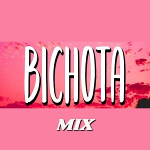ดาวน์โหลดและฟังเพลง Bichota Remix พร้อมเนื้อเพลงจาก Dj fuego