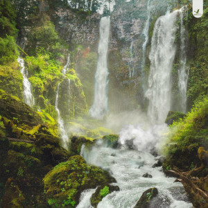 收听Tolan的Waterfalls歌词歌曲