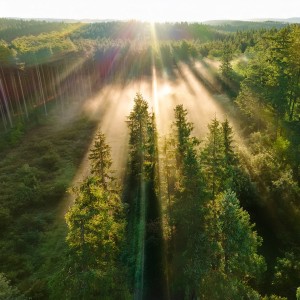 ดาวน์โหลดและฟังเพลง Serene Twilight Calm พร้อมเนื้อเพลงจาก Spa Music Relaxation Meditation