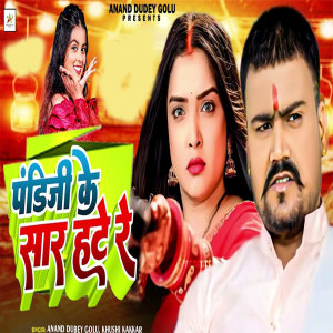 Listen to Pandit Ke Sar Hate Re song with lyrics from Anand Dubey Golu