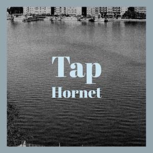 Listen to Tap Hornet song with lyrics from Miris Monse