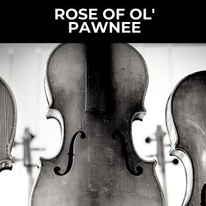 Rose of Ol' Pawnee