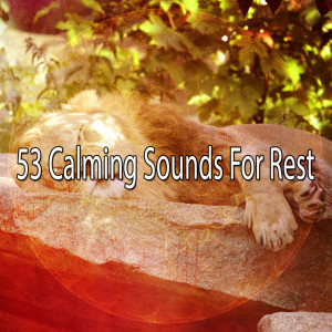 Listen to Truly Beautful Sleep song with lyrics from Baby Lullaby