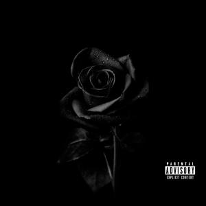 ดาวน์โหลดและฟังเพลง Why (Explicit) พร้อมเนื้อเพลงจาก Jay Adams