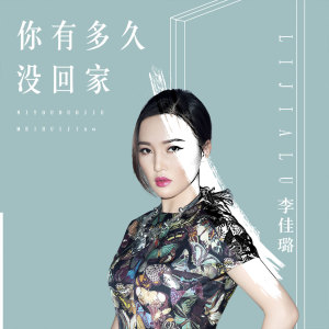 收听李佳璐的你有多久没回家 (伴奏)歌词歌曲