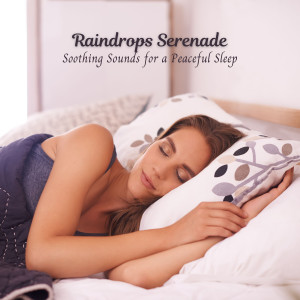 Deep Sleep Rain的專輯Raindrops Serenade: Soothing Sounds for a Peaceful Sleep