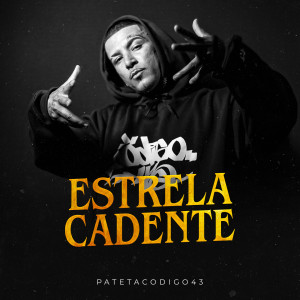 patetacodigo43的專輯Estrela Cadente