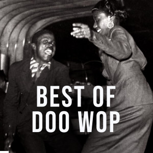 Album Best Of Doo Wop oleh Various Artists