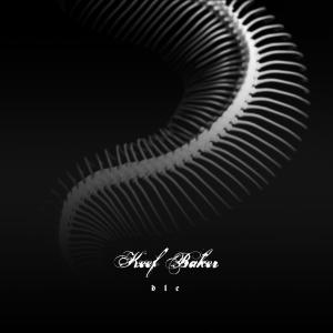 收聽Keef Baker的Cranesong歌詞歌曲
