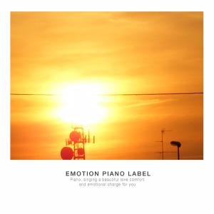Album A piano with a sense of faint memories resembling anger from Various Artists