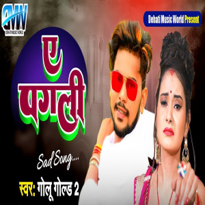 Listen to A Pagli song with lyrics from GOLU GOLD 2
