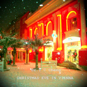 Listen to Christmas Eve in Vienna song with lyrics from Dr. T C Cheng