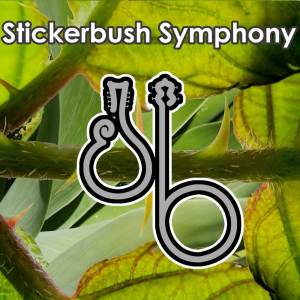 收聽Jonas Bombeke的Stickerbush Symphony (From "Donkey Kong Country 2") (Irish Jig Cover)歌詞歌曲