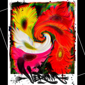 MAVSTAR的專輯Verona (Explicit)
