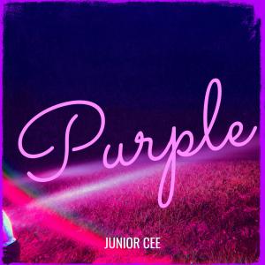 Album Purple (Explicit) from Junior cee
