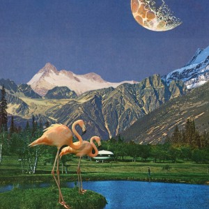 收聽BEN BEAL的Terrapin (Explicit)歌詞歌曲