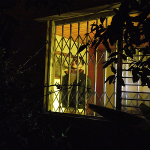 Dengarkan lagu Joven Ruina (Explicit) nyanyian MNZR dengan lirik