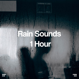 !!!" Rain Sounds 1 Hour "!!!