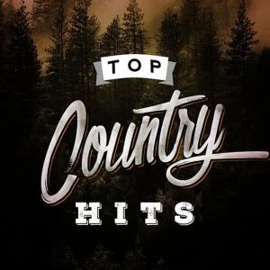 收聽American Country Hits的Lost歌詞歌曲
