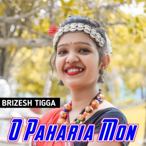 Listen to O Paharia Mon song with lyrics from Brizesh Tigga