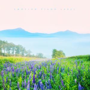 Album Sweet New Age piano opens a peaceful day from Various Artists