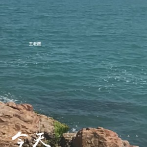Listen to 今天 (cover: 刘德华) (Live) song with lyrics from 王老醒