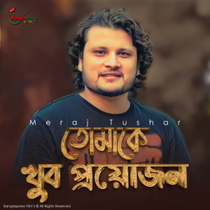 Listen to Tomake Khub Proyojon song with lyrics from Meraj Tushar