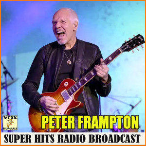 Listen to Do You Feel Like I Do (Live) song with lyrics from Peter Frampton