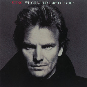 收聽Sting的Why Should I Cry For You? (Spanish Version)歌詞歌曲