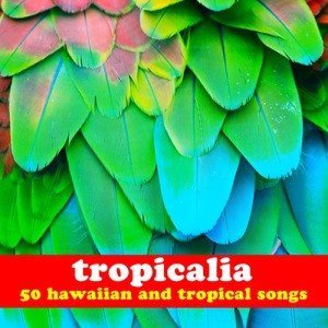ดาวน์โหลดและฟังเพลง South Sea Island พร้อมเนื้อเพลงจาก The Hawaiians