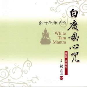 王珺的专辑白度母心咒 (美声佛韵版 12)