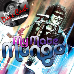 ดาวน์โหลดและฟังเพลง In the Summertime พร้อมเนื้อเพลงจาก Mungo Jerry