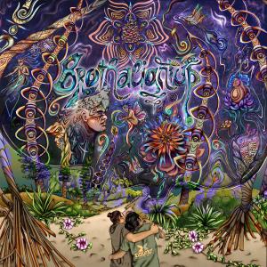 ดาวน์โหลดและฟังเพลง Sonic Phenomena พร้อมเนื้อเพลงจาก Living Frequencies