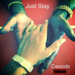 ดาวน์โหลดและฟังเพลง Just Stay พร้อมเนื้อเพลงจาก CWoods