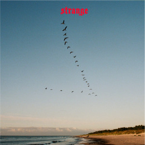 ดาวน์โหลดและฟังเพลง Strange พร้อมเนื้อเพลงจาก Sarah Klang
