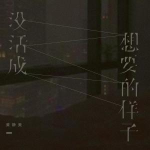 收聽黃靜美的沒活成想要的樣子 (DJ Eva版)歌詞歌曲