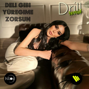 Album Deli Gibi Yüreğime Zorsun (Drill) oleh Berkay Şükür