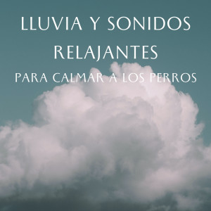 Relaxmydog的专辑Huellas De Lluvia: Lluvia Y Sonidos Relajantes Para Calmar A Los Perros