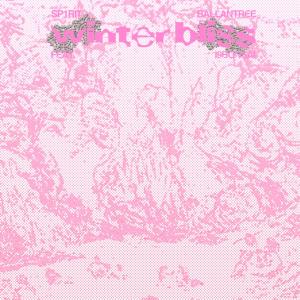 收聽Sp1rit的Winterbliss (feat. i9bonsai)歌詞歌曲