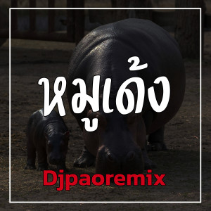 อัลบัม หมูเด้ง ศิลปิน Djpaoremix