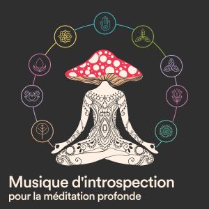 อัลบัม Musique d'introspection pour la méditation profonde ศิลปิน Bouddha Musique Sanctuaire