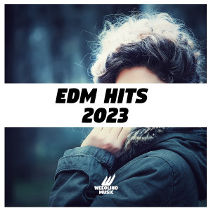 ดาวน์โหลดและฟังเพลง E พร้อมเนื้อเพลงจาก Bacon Bros