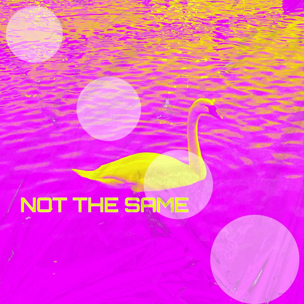 Not The Same