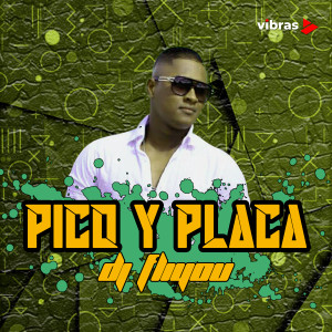 Listen to Pico y Placa song with lyrics from DJ Fliyou