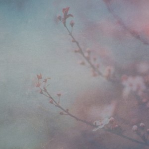 收聽Thomas Ragsdale的Ashes Of Tomorrow歌詞歌曲