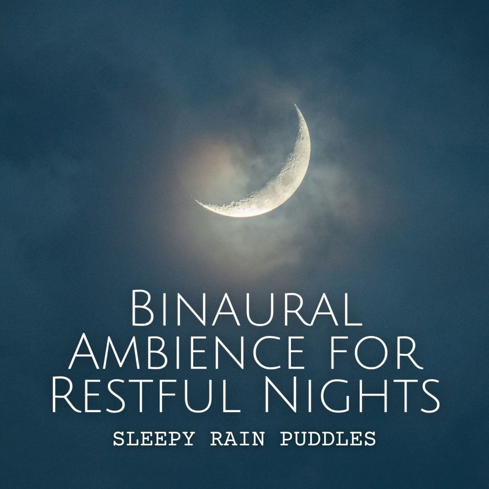 Tranquil Sleep Ambience