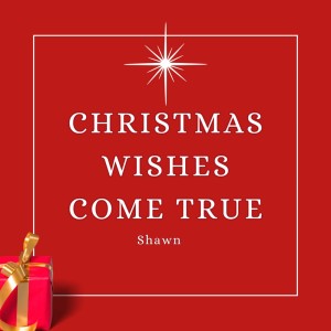 CHRISTMAS WISHES COME TRUE dari Shawn