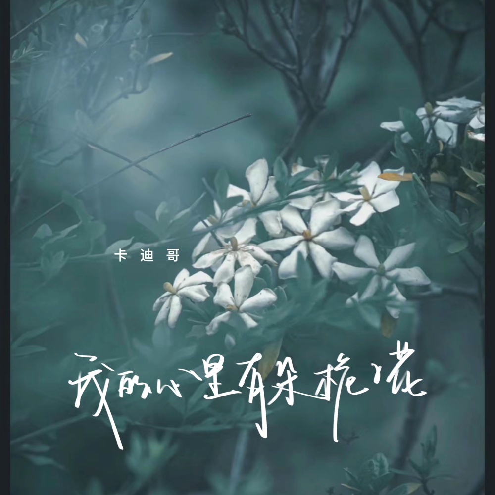 我的心里有朵栀子花 (伴奏)