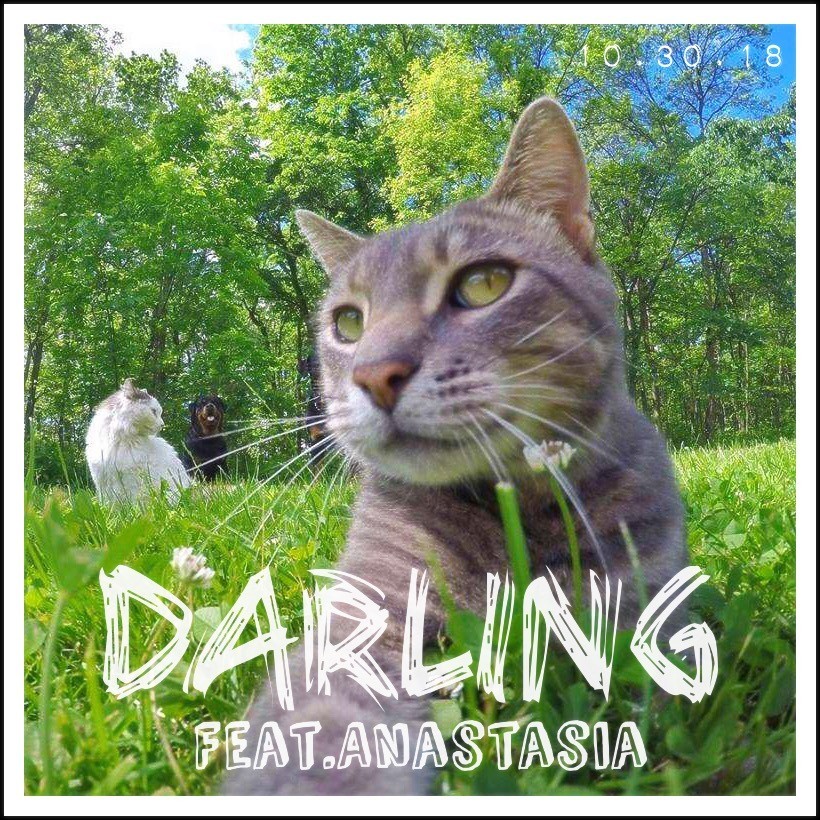 Darling (伴奏)